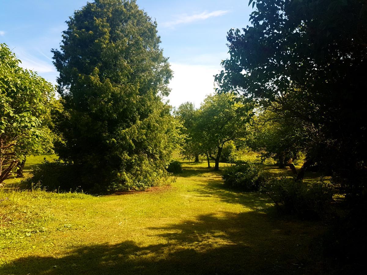 Paali Cottages Tornimae Dış mekan fotoğraf