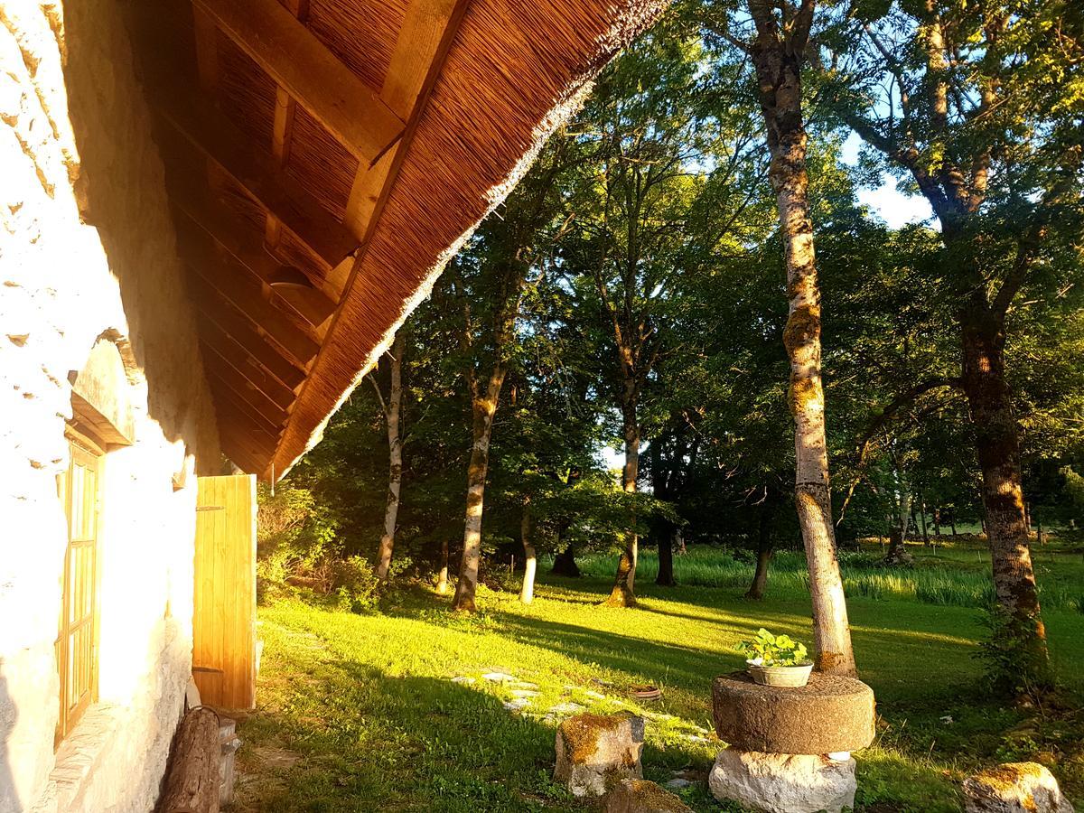 Paali Cottages Tornimae Dış mekan fotoğraf